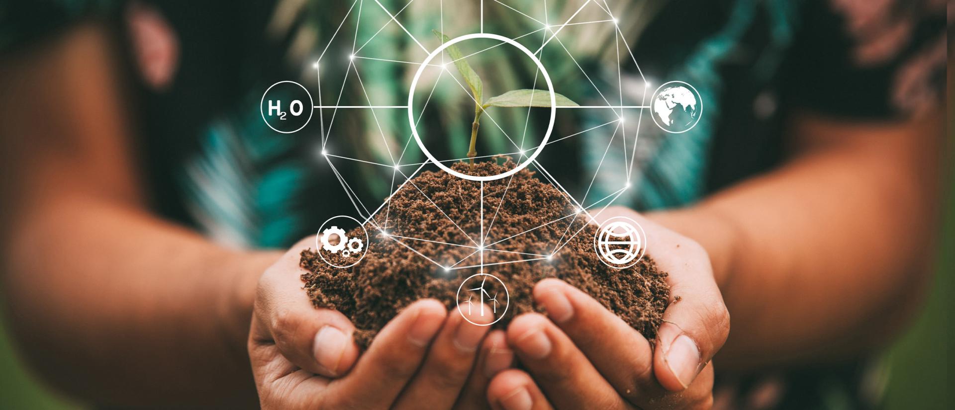 Représentation du cycle de la nature pour la politique d'entreprise de LSV Lech-Stahl Veredelung